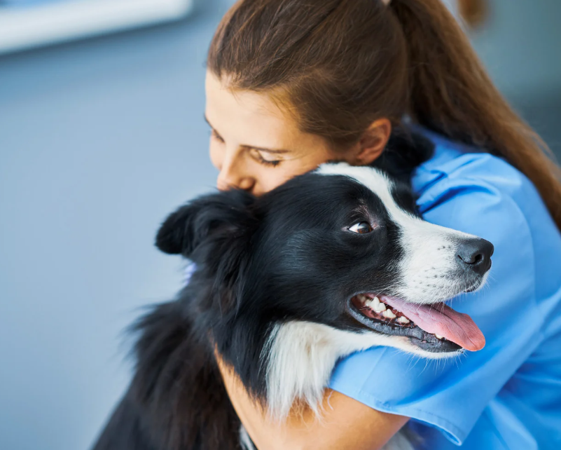 Veterinary Clinics